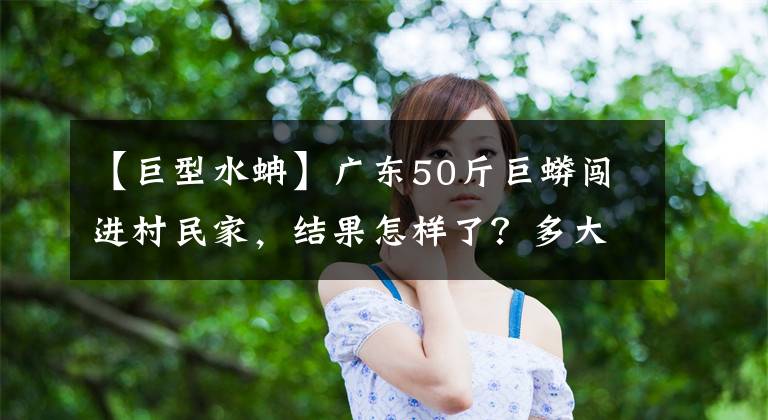 【巨型水蚺】广东50斤巨蟒闯进村民家，结果怎样了？多大的蟒蛇能吞下成年人？