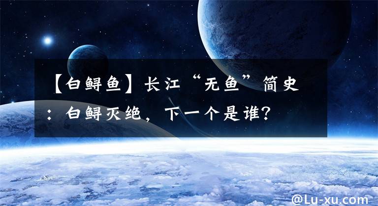 【白鲟鱼】长江“无鱼”简史：白鲟灭绝，下一个是谁？