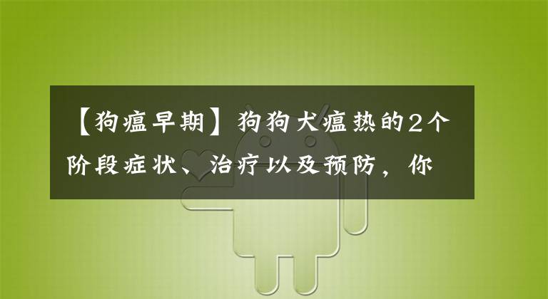 【狗瘟早期】狗狗犬瘟热的2个阶段症状、治疗以及预防，你了解多少呢？