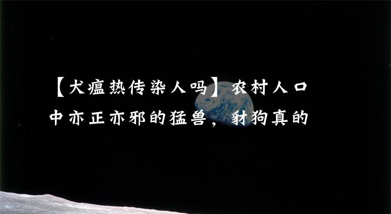 【犬瘟热传染人吗】农村人口中亦正亦邪的猛兽，豺狗真的会保护人吗？