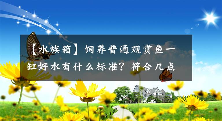 【水族箱】饲养普通观赏鱼一缸好水有什么标准？符合几点就够了，不必强求