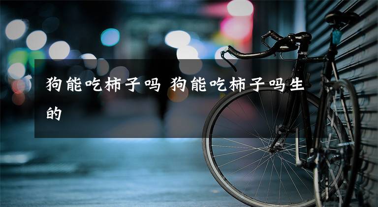 狗能吃柿子吗 狗能吃柿子吗生的文章配图