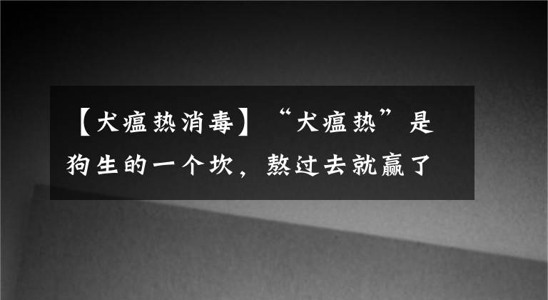 【犬瘟热消毒】“犬瘟热”是狗生的一个坎，熬过去就赢了熬不过去就输了