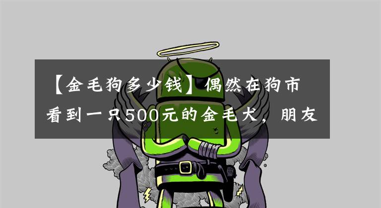 【金毛狗多少钱】偶然在狗市看到一只500元的金毛犬，朋友看了说：这狗能值一万！