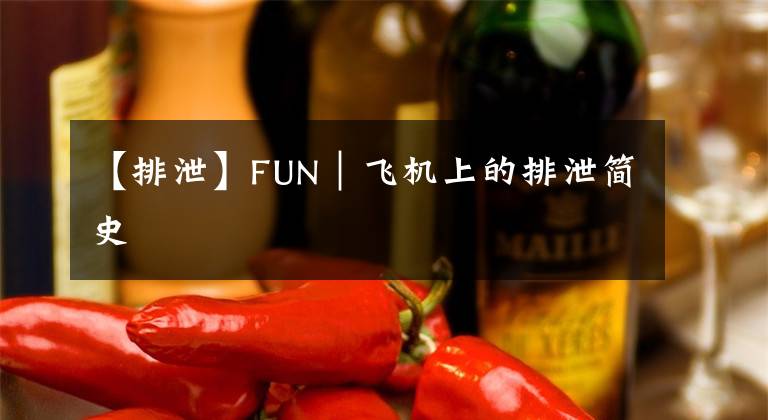 【排泄】FUN｜飞机上的排泄简史