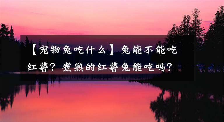 【宠物兔吃什么】兔能不能吃红薯？煮熟的红薯兔能吃吗？