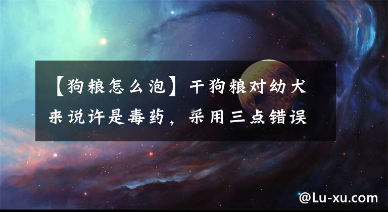 【狗粮怎么泡】干狗粮对幼犬来说许是毒药，采用三点错误喂法将失去爱犬！