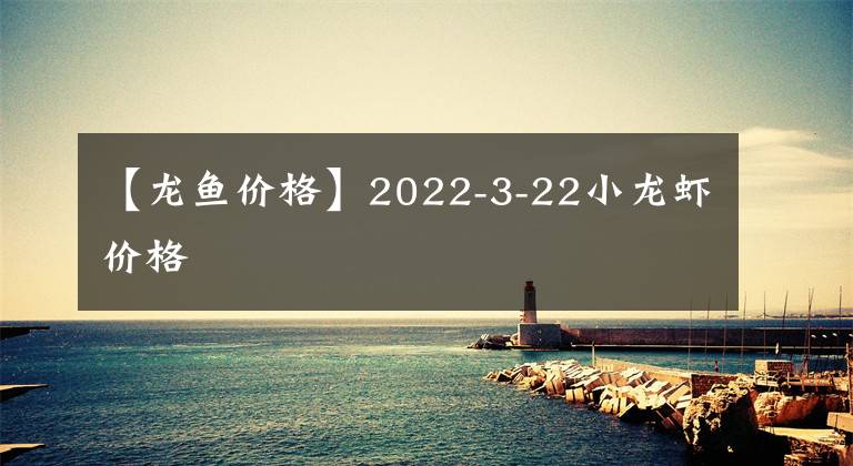 【龙鱼价格】2022-3-22小龙虾价格