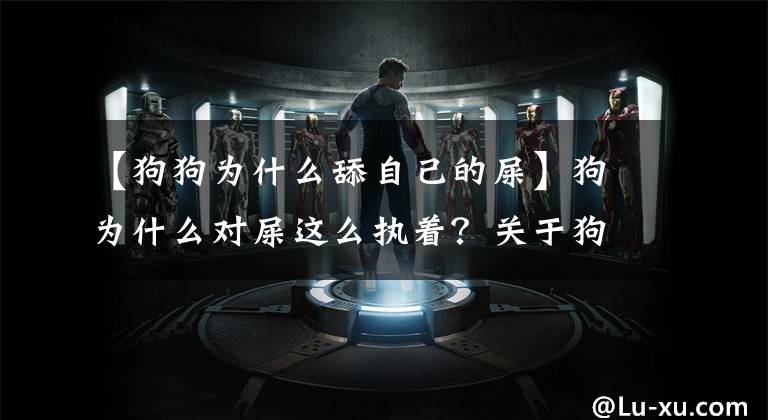 【狗狗为什么舔自己的屎】狗为什么对屎这么执着？关于狗吃屎的原因和解决方法。文章配图