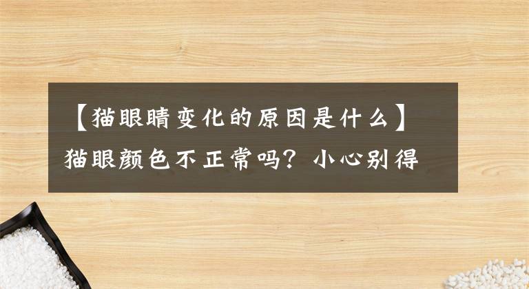 【猫眼睛变化的原因是什么】猫眼颜色不正常吗？小心别得白内障