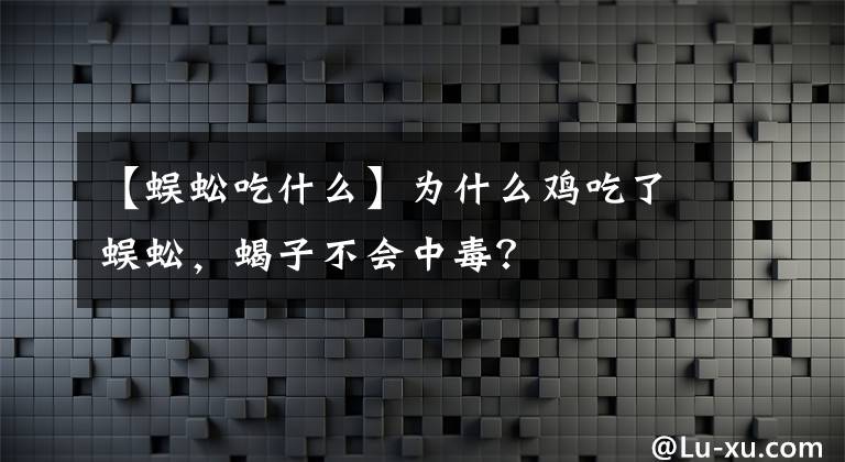 【蜈蚣吃什么】为什么鸡吃了蜈蚣，蝎子不会中毒？