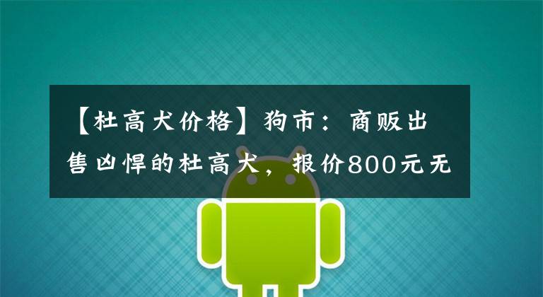 【杜高犬价格】狗市：商贩出售凶悍的杜高犬，报价800元无人敢买！