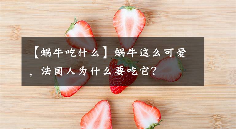 【蜗牛吃什么】蜗牛这么可爱，法国人为什么要吃它？