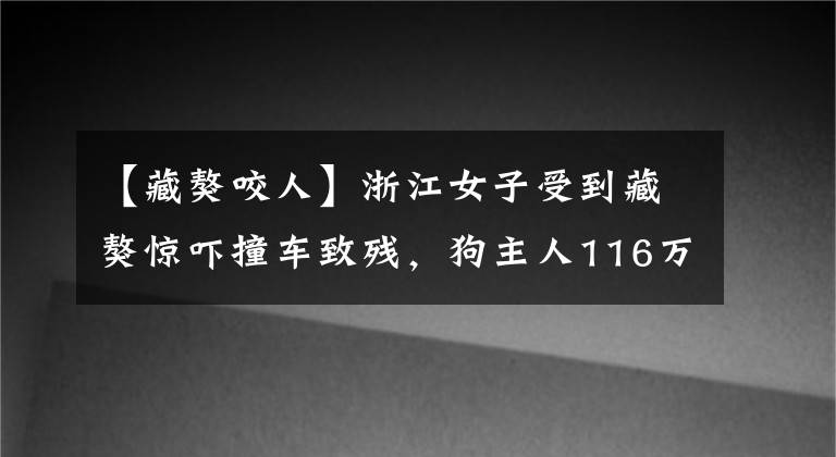 【藏獒咬人】浙江女子受到藏獒惊吓撞车致残，狗主人116万元赔偿尚未完结