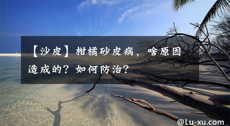 【沙皮】柑橘砂皮病，啥原因造成的？如何防治？