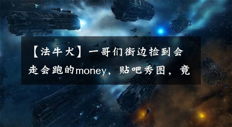 【法牛犬】一哥们街边捡到会走会跑的money，贴吧秀图，竟然是两条狗狗