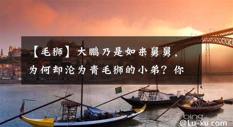 【毛狮】大鹏乃是如来舅舅，为何却沦为青毛狮的小弟？你看青毛狮真正来历