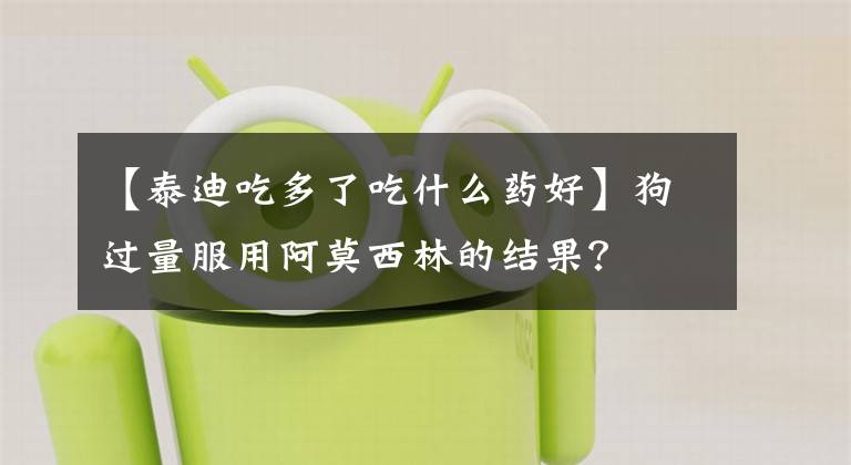 【泰迪吃多了吃什么药好】狗过量服用阿莫西林的结果？