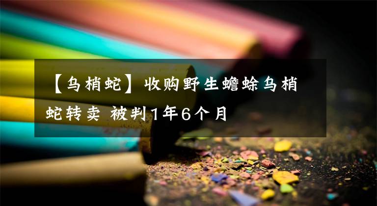 【乌梢蛇】收购野生蟾蜍乌梢蛇转卖 被判1年6个月