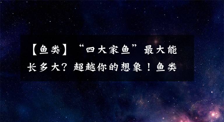 【鱼类】“四大家鱼”最大能长多大？超越你的想象！鱼类的生长极限在哪？