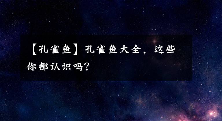 【孔雀鱼】孔雀鱼大全，这些你都认识吗？