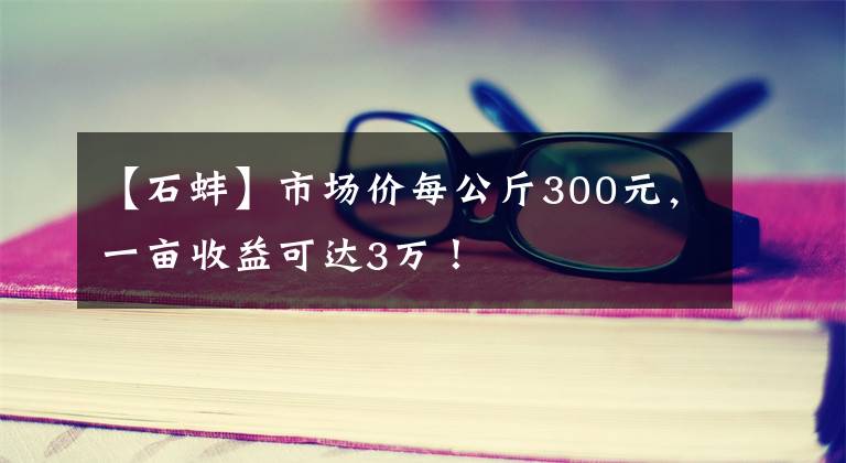 【石蚌】市场价每公斤300元，一亩收益可达3万！