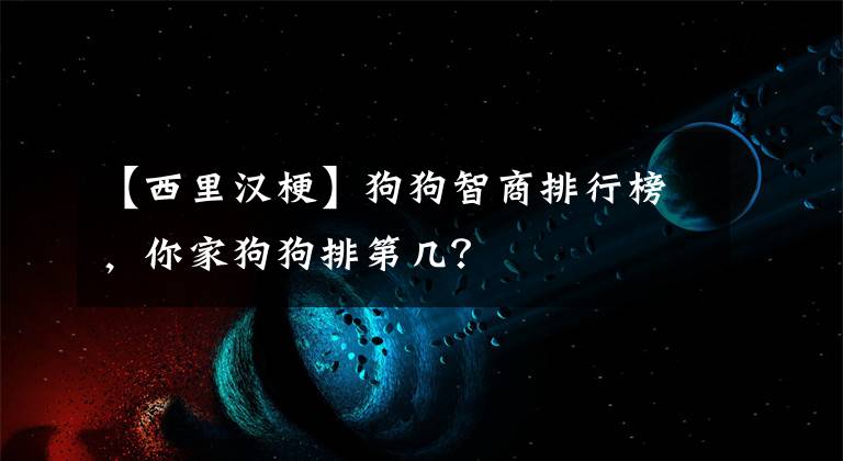 【西里汉梗】狗狗智商排行榜，你家狗狗排第几？