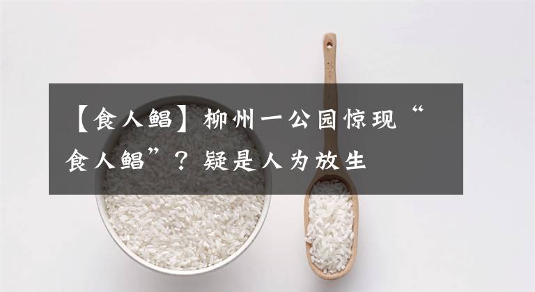 【食人鲳】柳州一公园惊现“食人鲳”？疑是人为放生