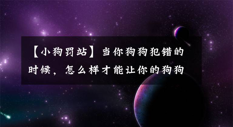 【小狗罚站】当你狗狗犯错的时候，怎么样才能让你的狗狗罚站？