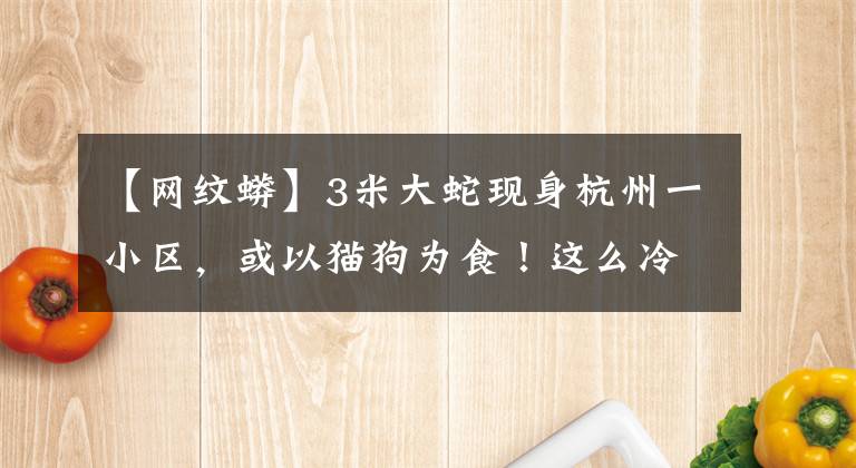 【网纹蟒】3米大蛇现身杭州一小区，或以猫狗为食！这么冷，不应该冬眠吗？