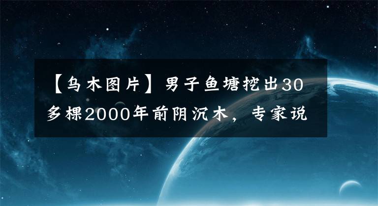 【乌木图片】男子鱼塘挖出30多棵2000年前阴沉木，专家说，价格目前无法估量