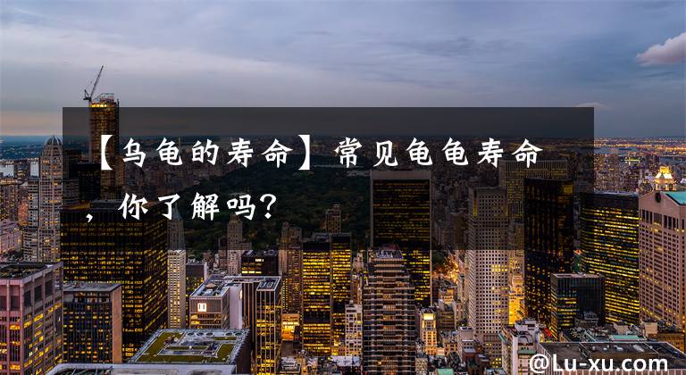 【乌龟的寿命】常见龟龟寿命，你了解吗？