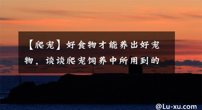 【爬宠】好食物才能养出好宠物，谈谈爬宠饲养中所用到的众多活体饲料