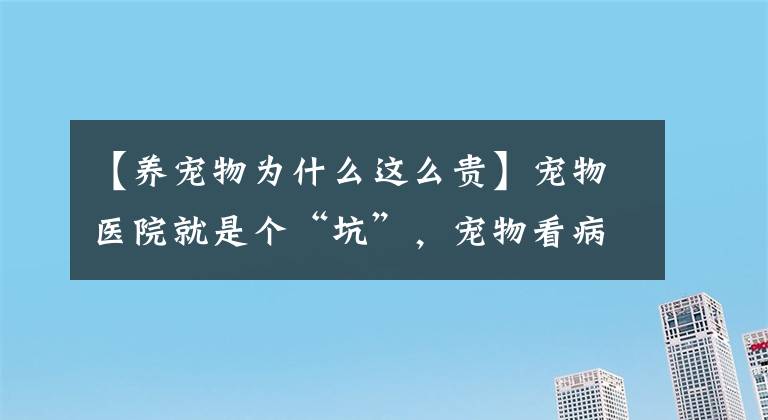 【养宠物为什么这么贵】宠物医院就是个“坑”，宠物看病比人都贵！根源在哪里？