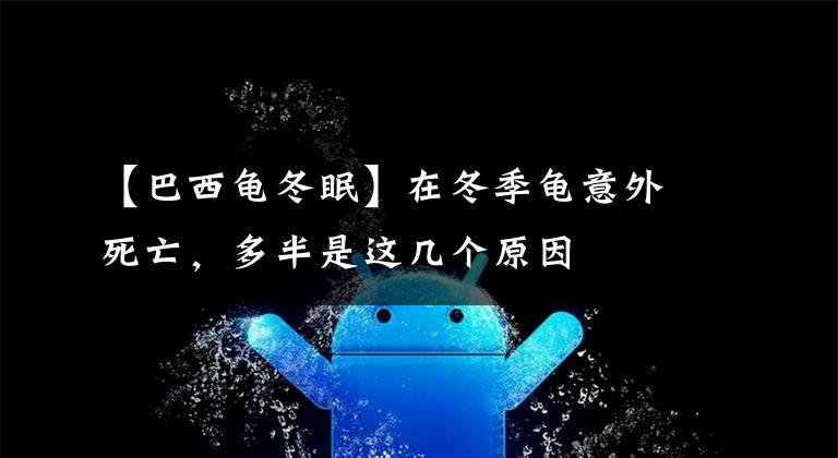 【巴西龟冬眠】在冬季龟意外死亡，多半是这几个原因