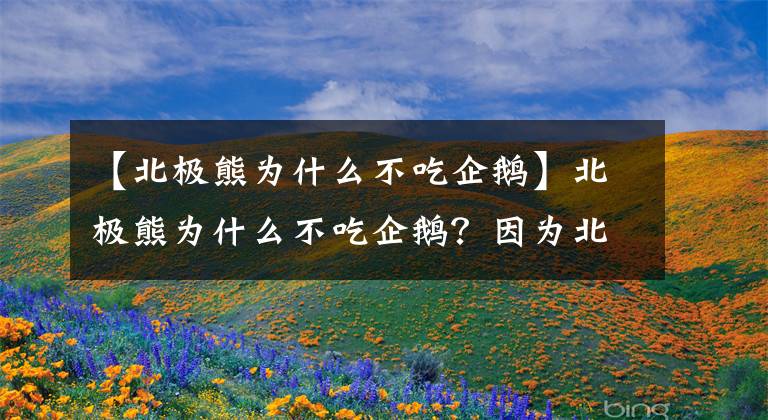 【北极熊为什么不吃企鹅】北极熊为什么不吃企鹅？因为北极的“企鹅”被人类吃灭绝了