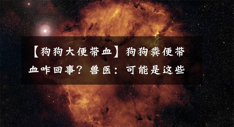 【狗狗大便带血】狗狗粪便带血咋回事？兽医：可能是这些原因引起！