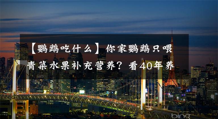 【鹦鹉吃什么】你家鹦鹉只喂青菜水果补充营养？看40年养鸟人营养秘籍！