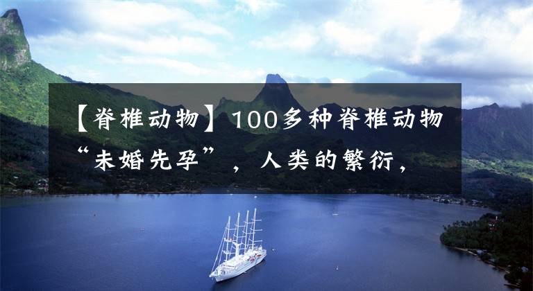 【脊椎动物】100多种脊椎动物“未婚先孕”，人类的繁衍，男性还是必须的吗？