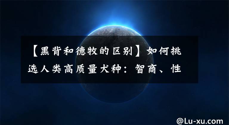 【黑背和德牧的区别】如何挑选人类高质量犬种：智商、性格我可都要最顶的