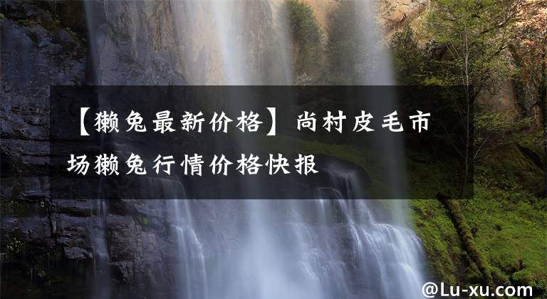 【獭兔最新价格】尚村皮毛市场獭兔行情价格快报