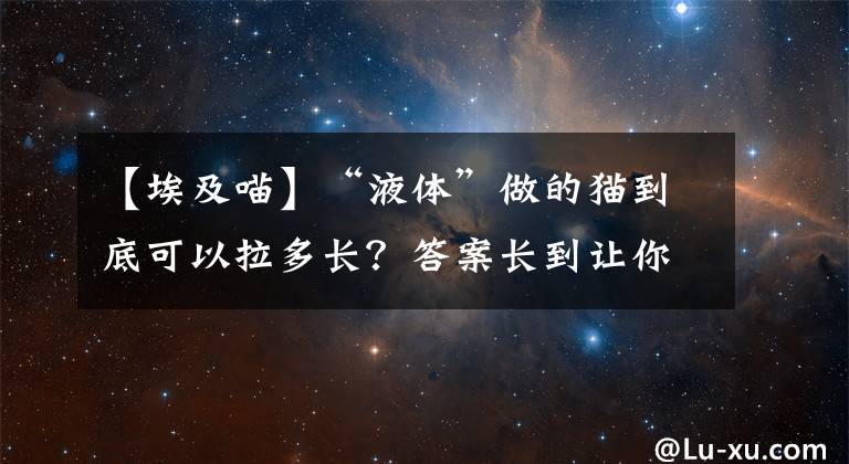 【埃及喵】“液体”做的猫到底可以拉多长？答案长到让你不敢相信