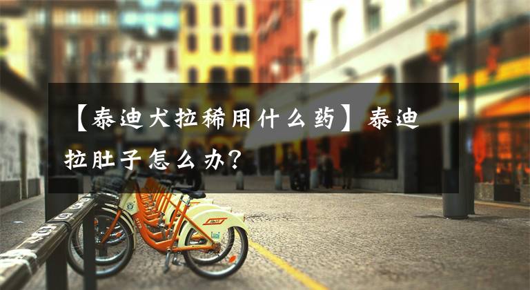 【泰迪犬拉稀用什么药】泰迪拉肚子怎么办？文章配图