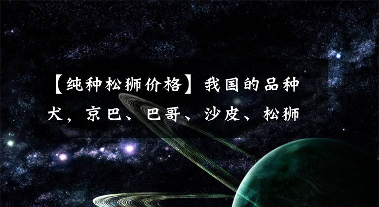 【纯种松狮价格】我国的品种犬，京巴、巴哥、沙皮、松狮犬等你最喜欢哪种呢