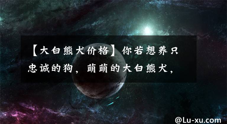 【大白熊犬价格】你若想养只忠诚的狗，萌萌的大白熊犬，是当今世界上最忠诚的狗