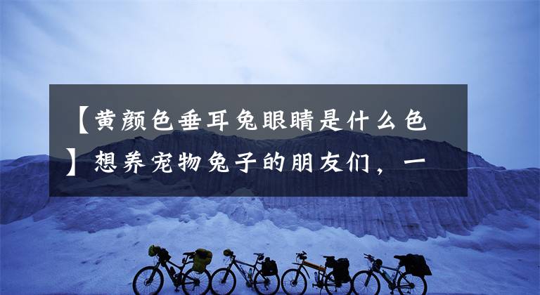 【黄颜色垂耳兔眼睛是什么色】想养宠物兔子的朋友们，一起来看看那个秘密吧。