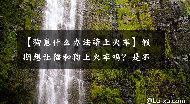 【狗崽什么办法带上火车】假期想让猫和狗上火车吗？是不是不行！最完全委托的宠物指南来了文章配图