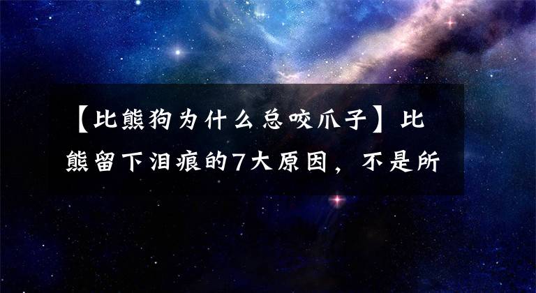 【比熊狗为什么总咬爪子】比熊留下泪痕的7大原因，不是所有人都知道，但现在我会全部告诉你