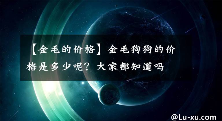 【金毛的价格】金毛狗狗的价格是多少呢？大家都知道吗