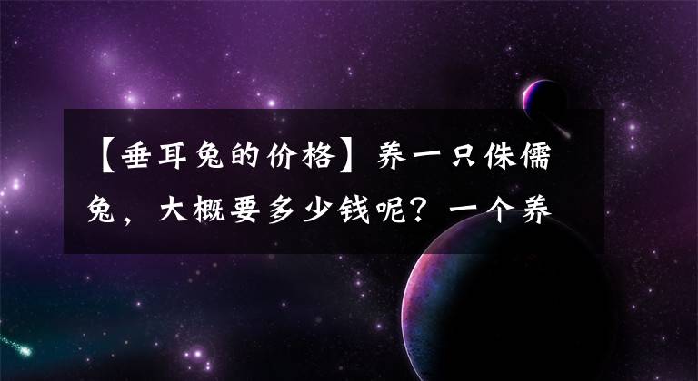 【垂耳兔的价格】养一只侏儒兔，大概要多少钱呢？一个养兔玩家的自白